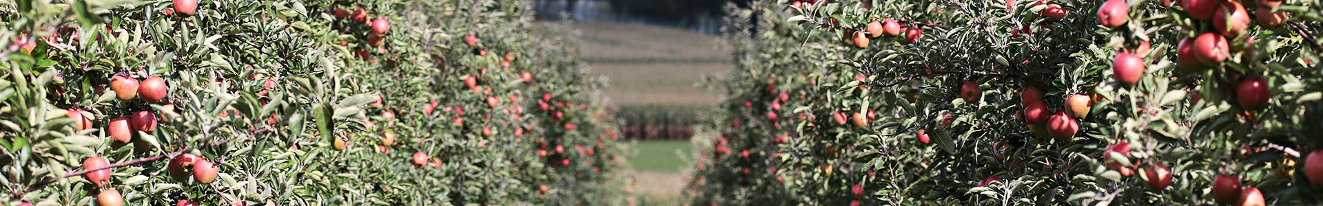 producten