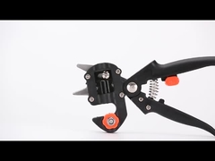 Het enten van schaar